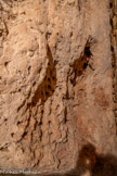 <center>Grotte aux Palmiers</center>Fossiles de fruits du palmier.